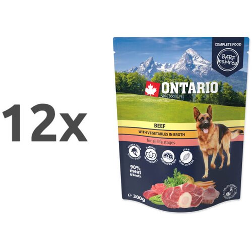 Ontario Dog - govedina in zelenjava v juhi, 300g 12 x 300 g Cene