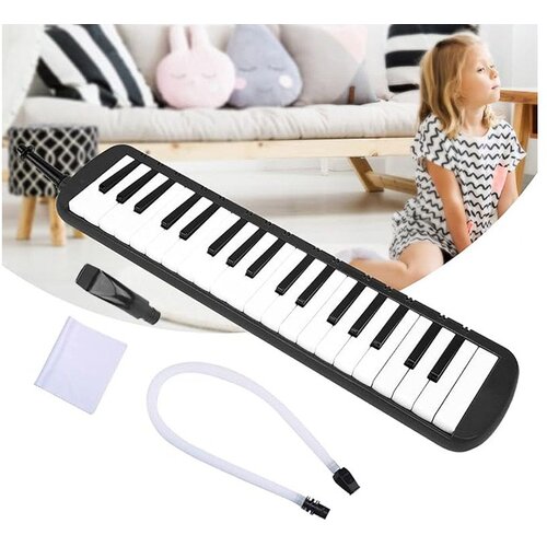 Muzikalni instrument, melodijska klavijatura s harmonikom, kutija i dva nastavka Slike