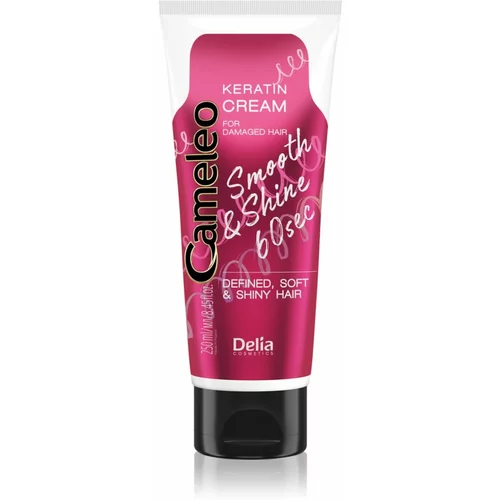 Delia Cosmetics Cameleo Smooth & Shine 60 sec krema za lase za sijaj in mehkobo las 250 ml