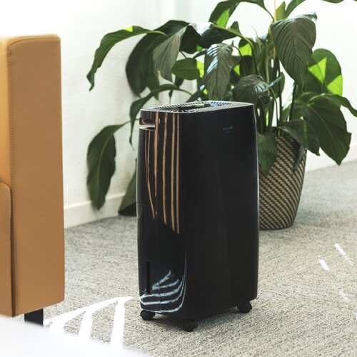 Cecotec 05607 - Razvlažilnik zraka BigDry4000 Expert Black, (22118521) Cene