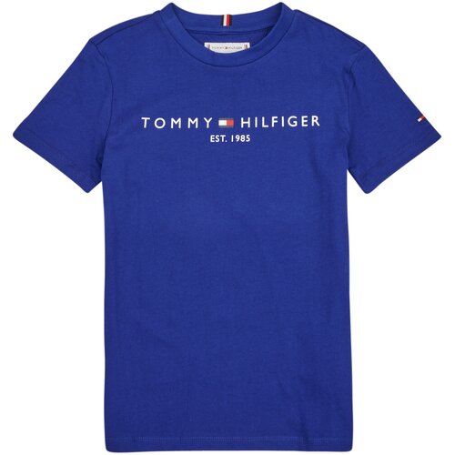 Tommy Hilfiger Majice s kratkimi rokavi ESTABLISHED LOGO Modra Slike
