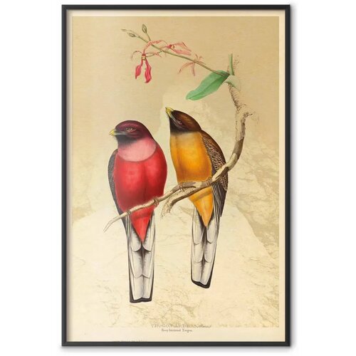  Plakat - Birds on a Branch 60x90 Crni okvir Slike