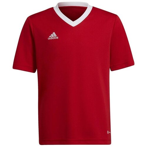 Adidas Majice s kratkimi rokavi Entrada 22 Jsy Rdeča Cene