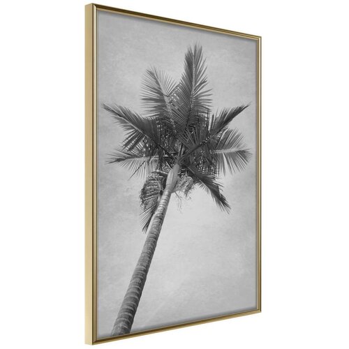  Poster - Memories from the Paradise 40x60 Slike