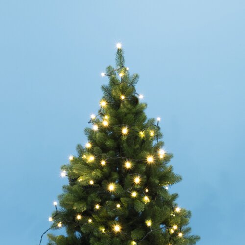 Home Somogyi Lampice za jelku sa 50 LED dioda Toplo belih KII50/WW Cene