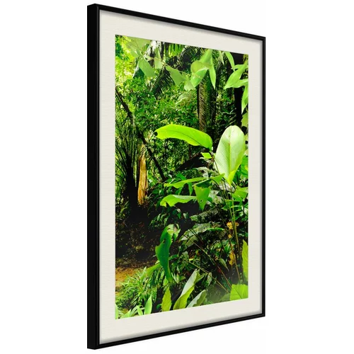  Poster - In the Rainforest 40x60