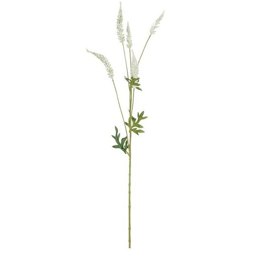  Umetna rastlina Astilba (Višina: 81 cm, Kremna, Plastika) Cene