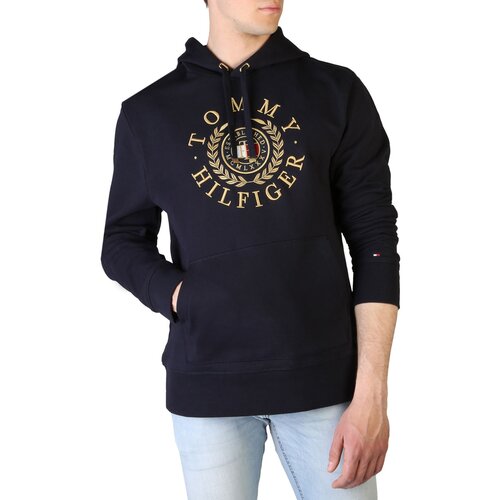 Tommy Hilfiger ICON ROUNDALL GRAPHIC HOODY Blue Cene