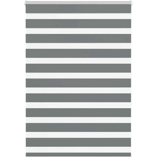 vidaXL Zebra senčilo temno sivo 95x150 cm tkanina širina 90,9 cm Cene