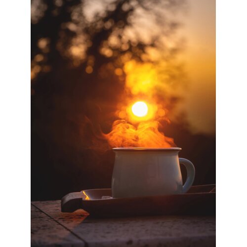 Venture Home poster Morning Coffee 30 × 40 cm, žuti Cene