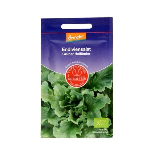 De Bolster Endivija "Green Dutchman" Cene