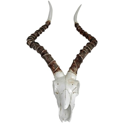 Deco Pleasure Stenska dekoracija iz poliresina 33x68 cm Impalak - Cene