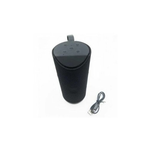 Bluetooth zvučnik T113 crna Cene