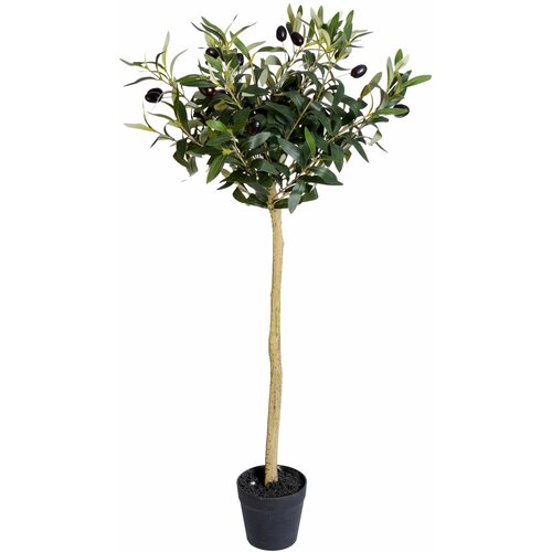Lilium dekorativno stablo masline 85cm LTJ148379 Cene