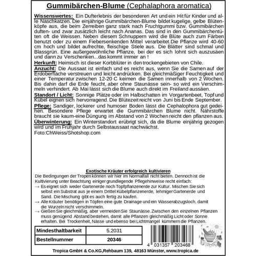 TROPICA Cvet gumijastega medvedka - 100 zrn. Cene