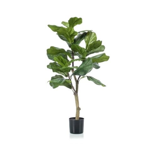 Dekordom cvet u saksiji - ficus n60 a1026 -( 025146 ) Slike
