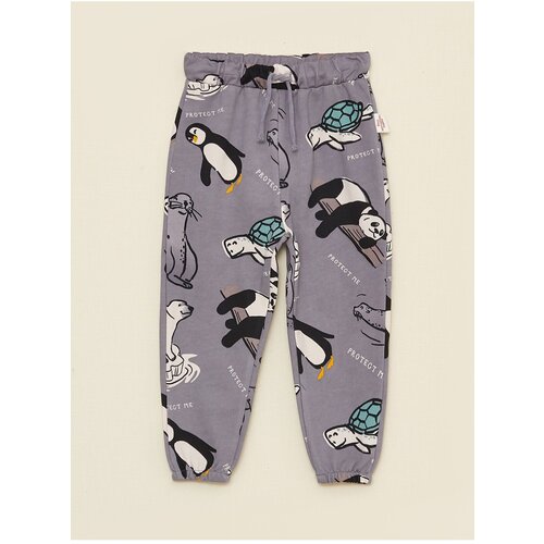 LC Waikiki Sweatpants - Gray Slike