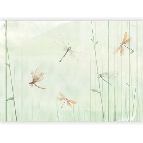  Foto tapeta - Dragonflies in the Meadow 343x256 Samoljepljiva Slike