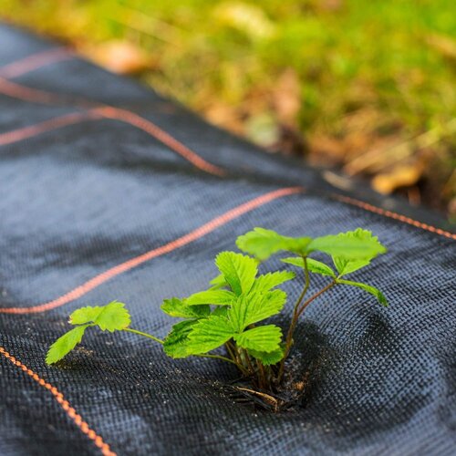  Protukorovna agrotekstilna folija, 70 g/m&amp;sup2;, 3,2 &amp;times; 10 m Slike