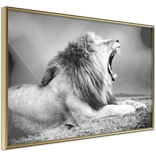  Poster - Yawning Lion 45x30