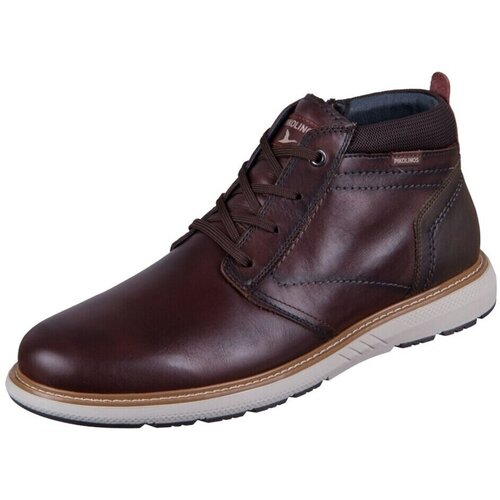 Pikolinos Pol&amp;scaron;kornji Bilbao Kostanjeva Slike