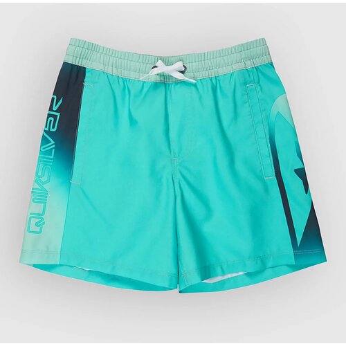 Quiksilver Everyday Holmes Volley 16 Kids Boardshorts aqua holmes Cene
