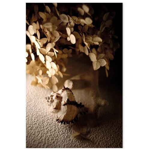  Slika - Humming Seashell (1 Part) Vertical 80x120 Slike