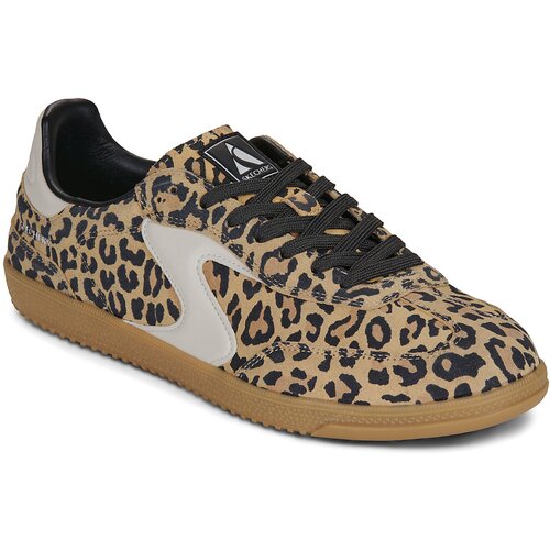 Skechers HOTSHOT ON THE PROWL Smeđa Cijene