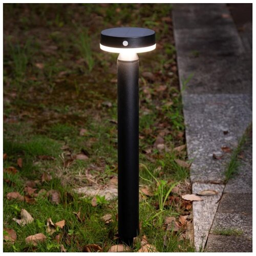 Zuma line PT33613 - LED solarna lampa CARLI LED/4,5W/2000 mAh IP44 crna Cene