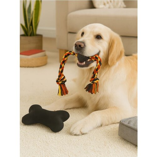 Sinsay Set igračaka za psa Cijene