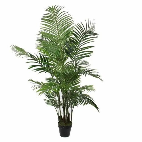 DEKOR DOM Dekorativna biljka u saksiji Areca Palm 1026427, 160 cm Cene