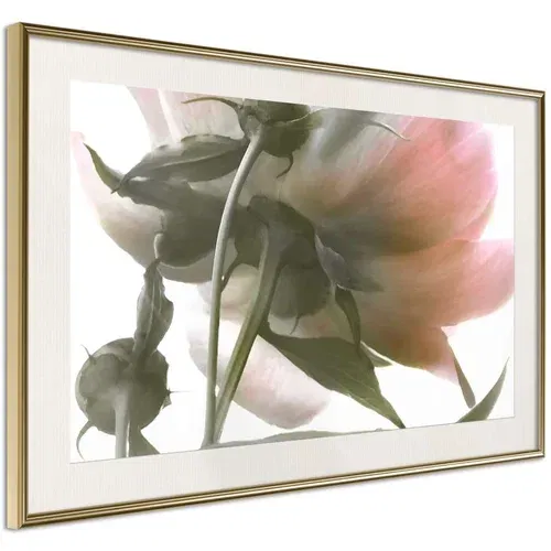  Poster - Under the Flower 60x40