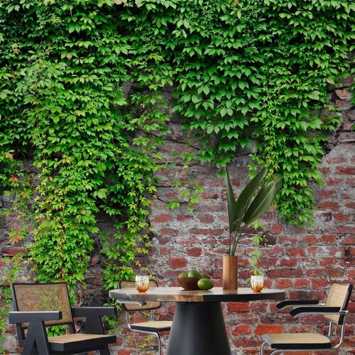  Foto tapeta - Brick and ivy 441x315 Slike