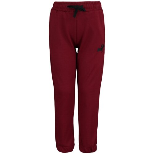 Trendyol Claret Red Embroidery Detailed Boy Knitted Sweatpants Slike