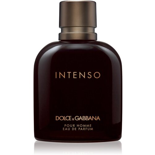 Dolce&gabbana Pour Homme Intenso parfumska voda 125 ml za moške Cene