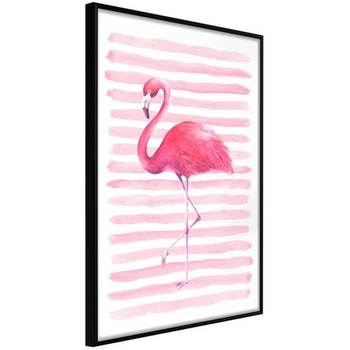  Poster - Pink Madness 30x45 Cijene