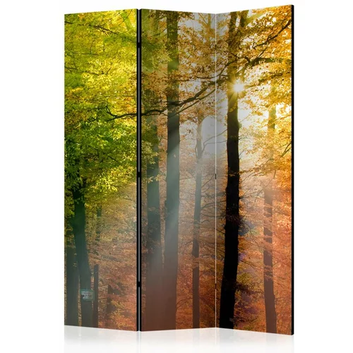  Paravan u 3 dijela - Forest Colours [Room Dividers] 135x172