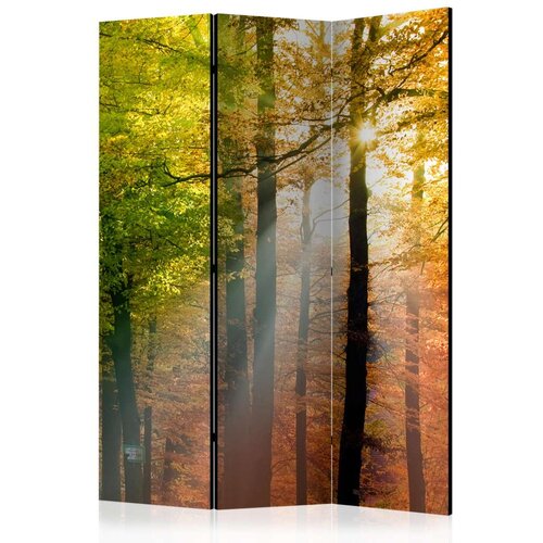 Paravan u 3 dijela - Forest Colours [Room Dividers] 135x172 Slike
