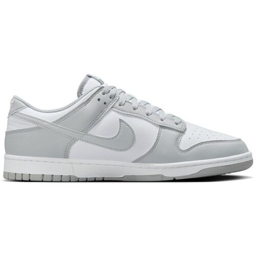 Nike Nizke superge Dunk Low Retro pisana Slike