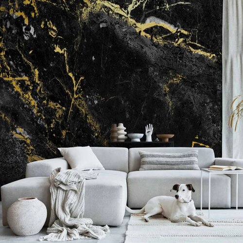  Foto tapeta - Black Elegance 300x210 Premium Cene