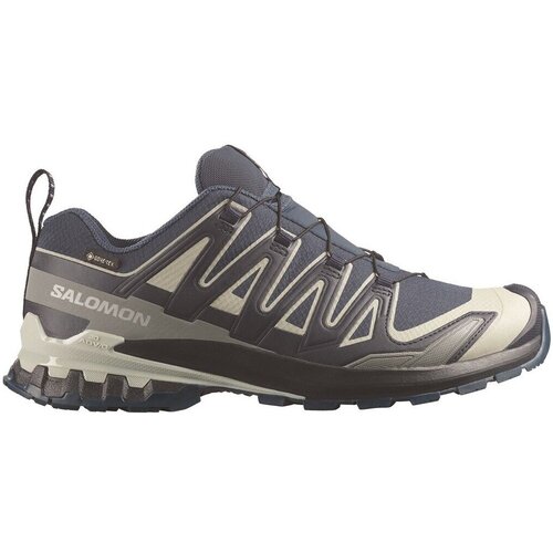 Salomon Modne superge XA PRO 3D V9 GTX Bež Slike