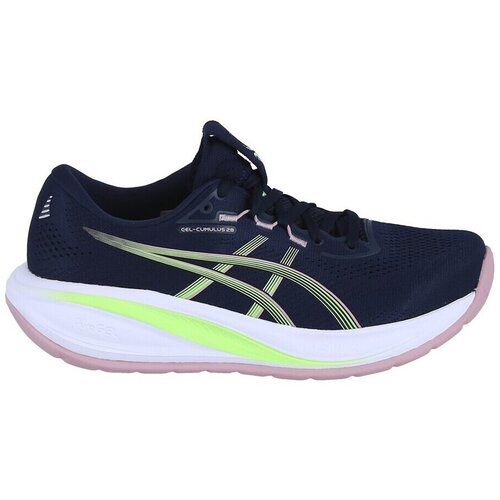Asics Nizke superge Gel Cumulus 28 pisana Cene