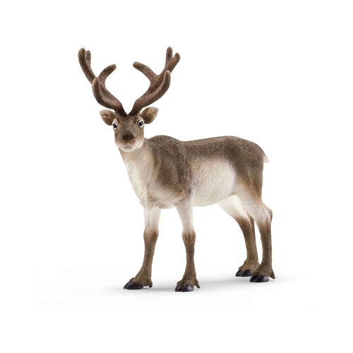 Schleich 14837 - Wild Life - severni jelen Cene