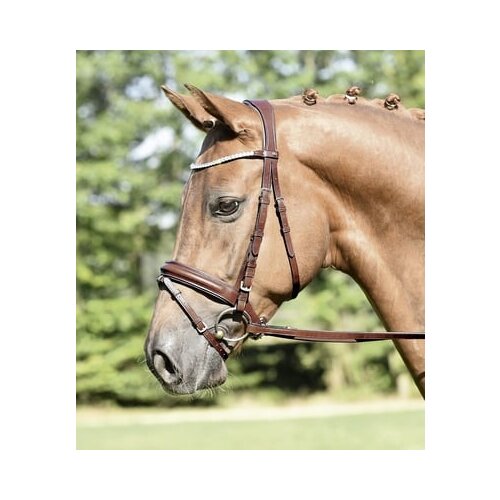 Busse Uzda "MATERA" hazel - WB/Full Cene