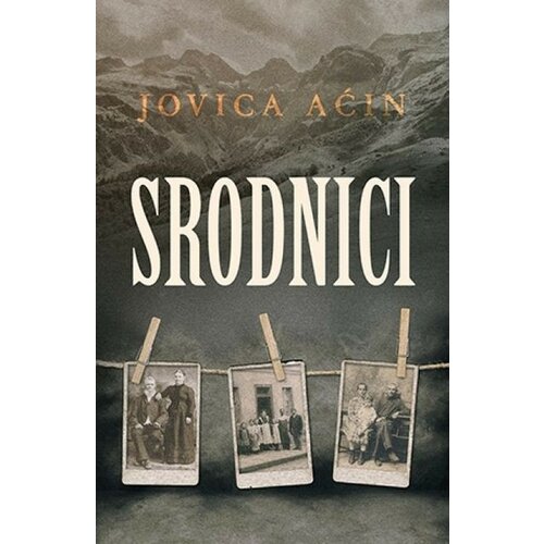 Laguna SRODNICI - Jovica Aćin ( 9115 ) Slike