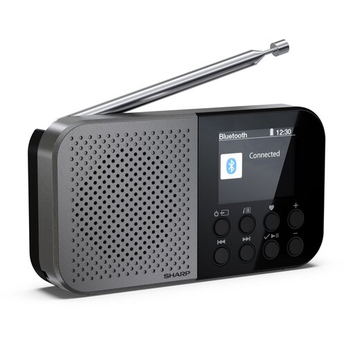 Sharp Prenosni DAB radio OSAKA DR-P520 GY Cene
