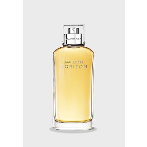 Davidoff Horizon toaletna voda 125 ml za moške Cene