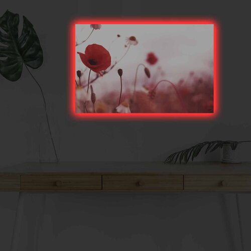 Wallity Slika sa LED osvetljenjem 4570DHDACT-140, 45x70 cm Cene