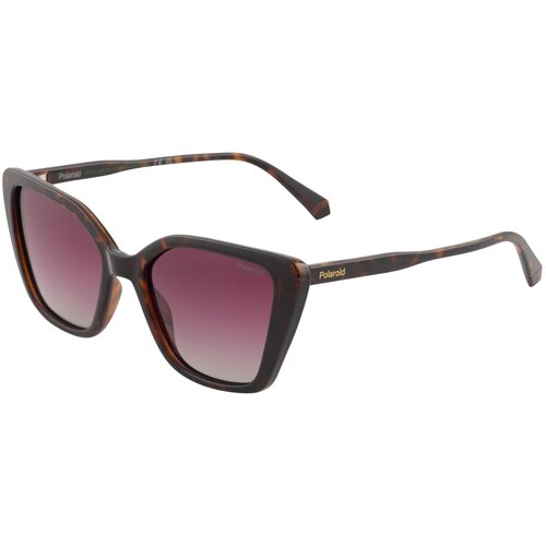 Polaroid Sunčane naočale &amp;#039;4189/S&amp;#039; smeđa Slike