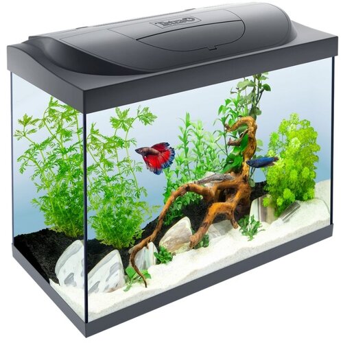 Tetra akvarij Starter Line LED črni 80 l Cene